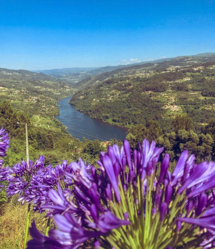 Mira Douro Valley Home Marco de Canaveses Ngoại thất bức ảnh